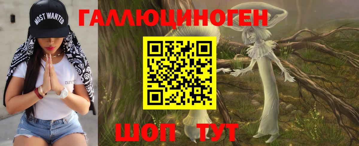 Псилоцибиновые грибы GOLDEN TEACHER  Вход с VPN  Галлюциногенные грибы Psilocybe  купить  цена  Чернушка 